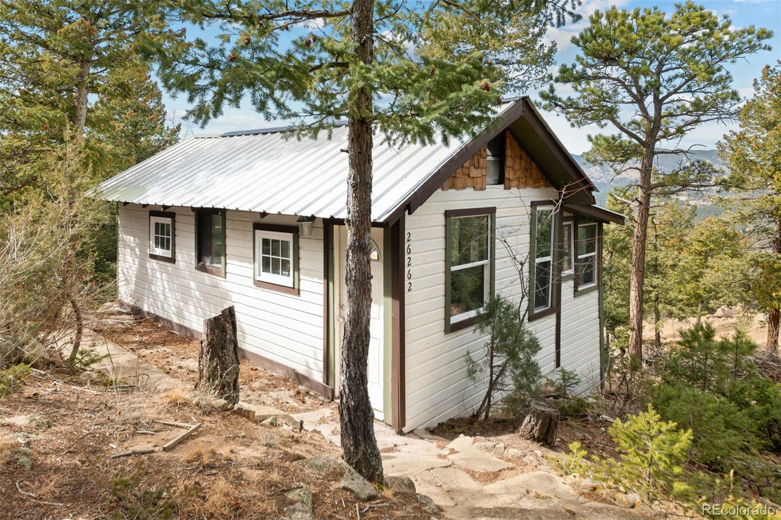 MLS Image #5 for 26262  fern gulch road,evergreen, Colorado