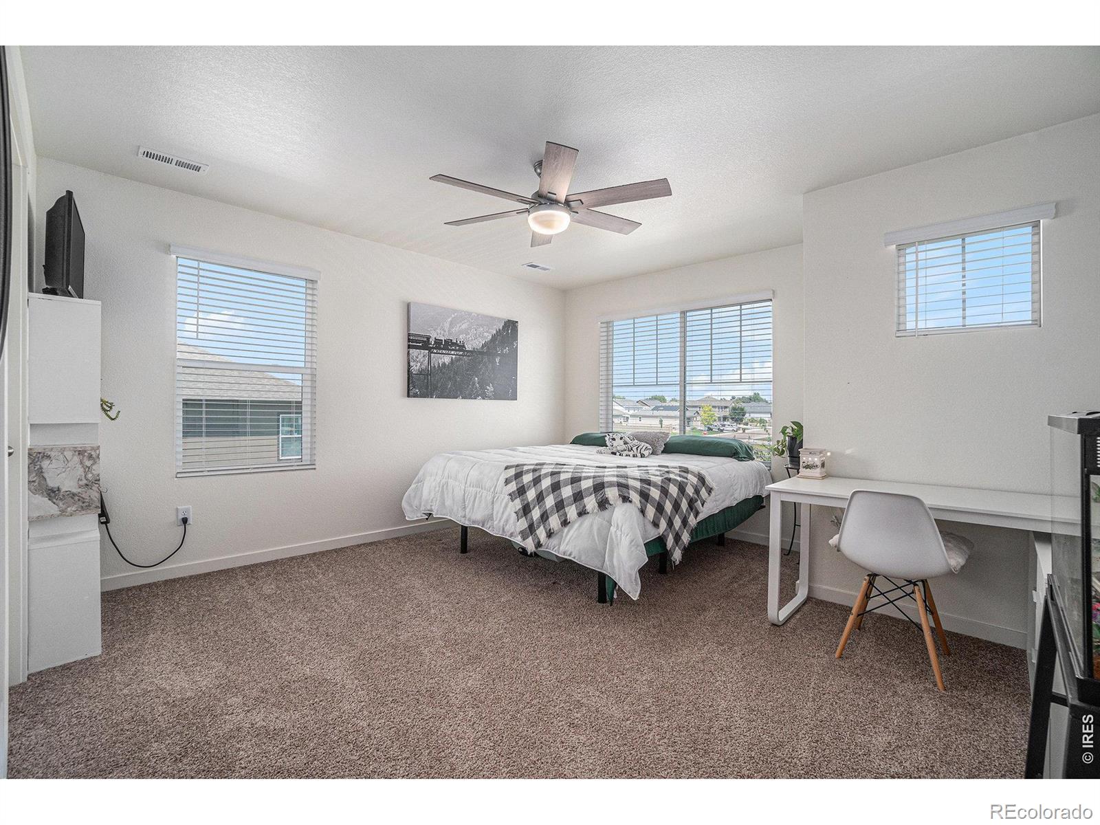MLS Image #18 for 605  sawyers pond drive,severance, Colorado