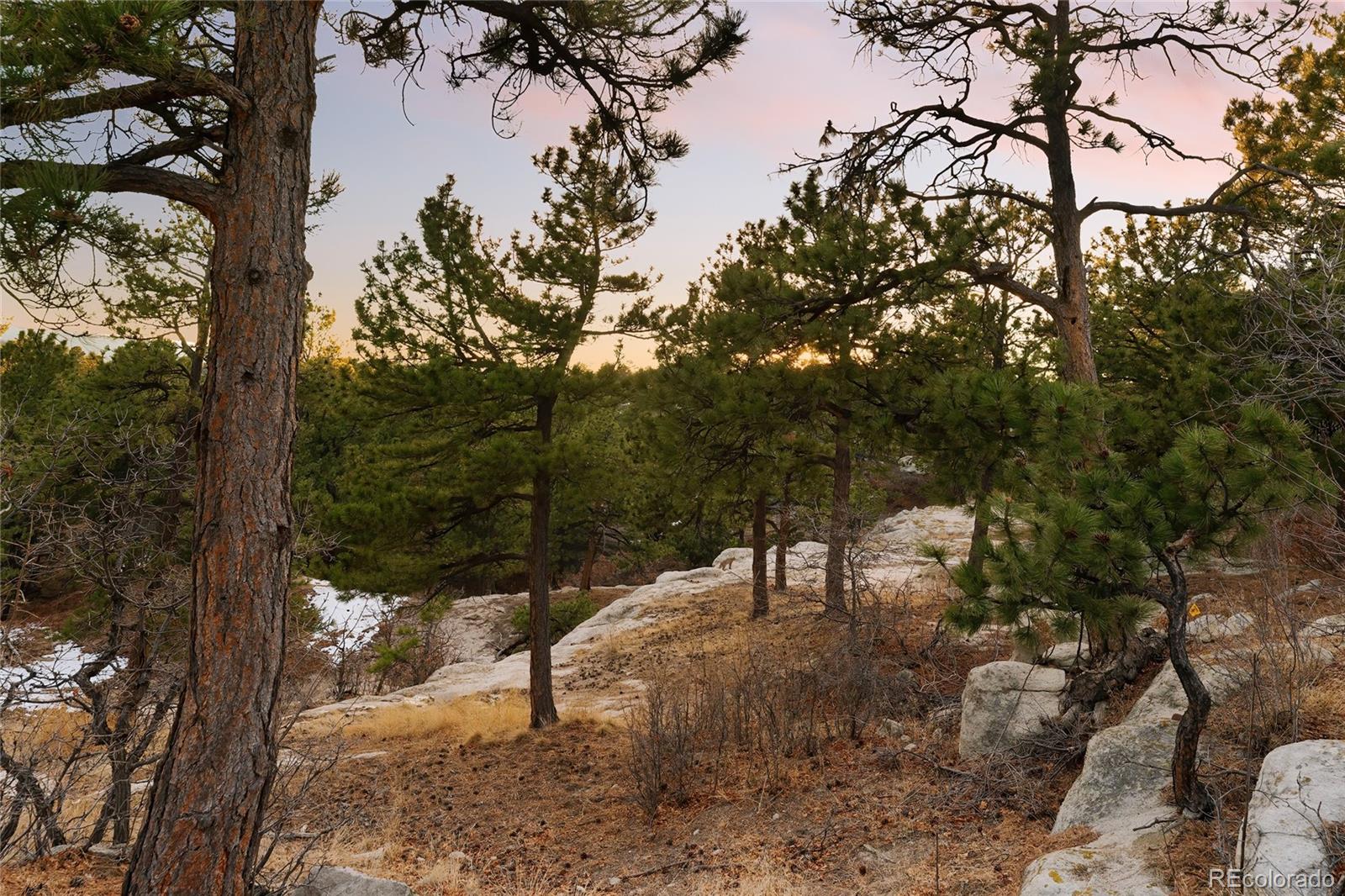 MLS Image #13 for 1417  pineridge lane,castle pines, Colorado