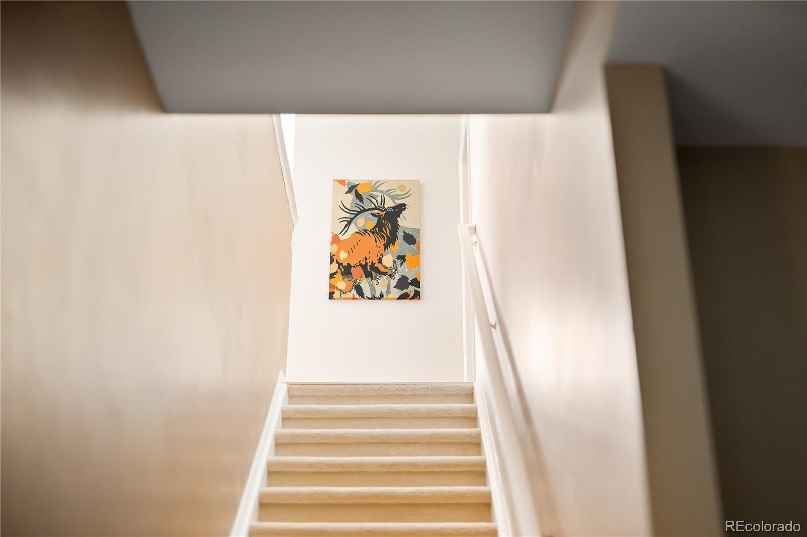 MLS Image #18 for 1417  pineridge lane,castle pines, Colorado