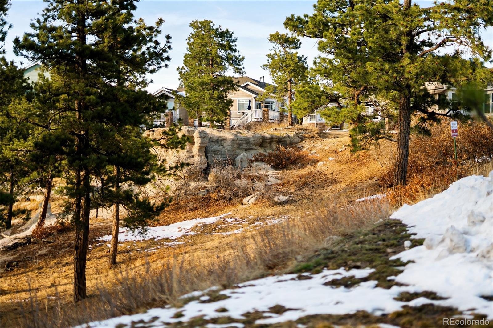 MLS Image #28 for 1417  pineridge lane,castle pines, Colorado