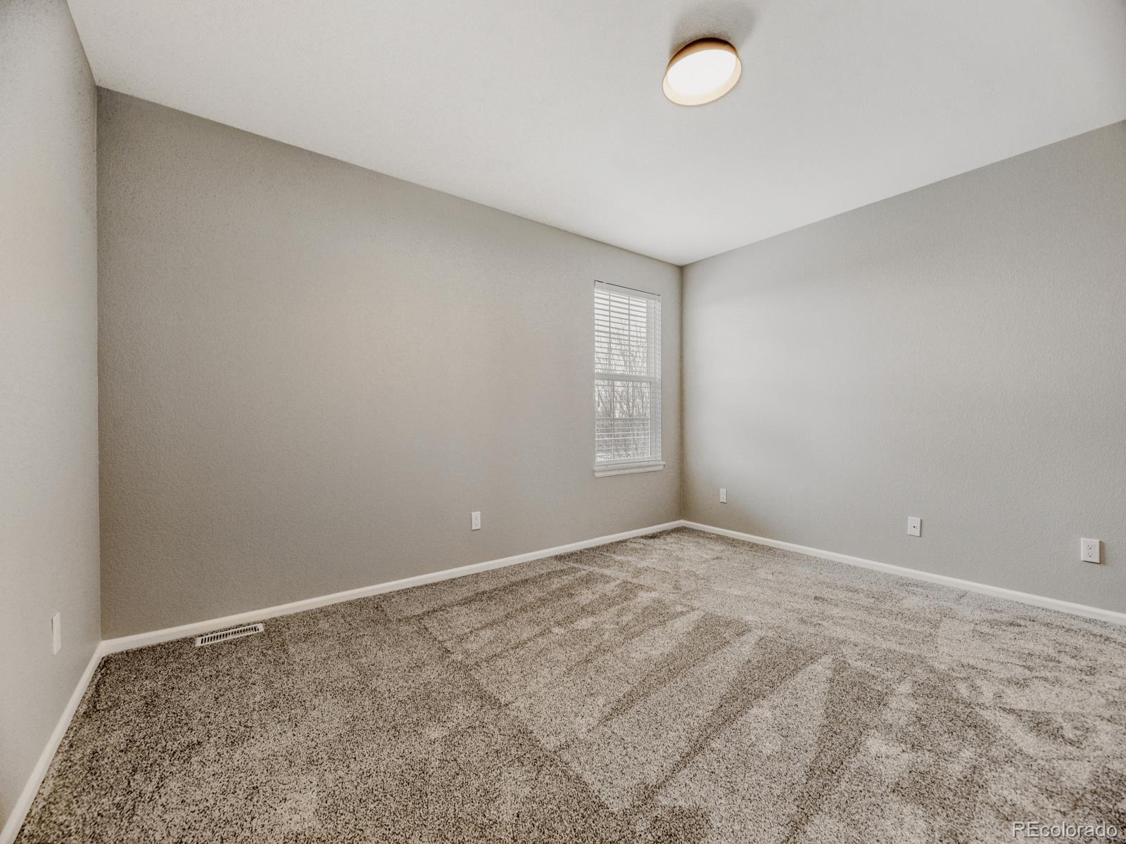 MLS Image #22 for 3818  mallard drive,highlands ranch, Colorado
