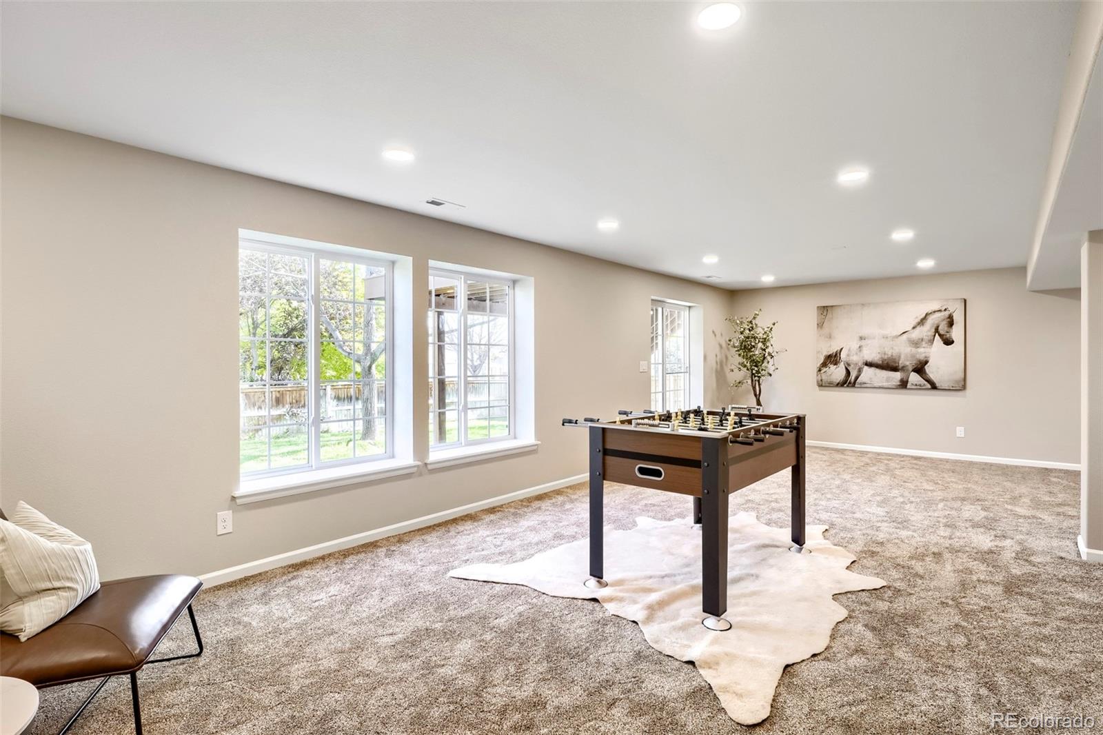 MLS Image #26 for 3818  mallard drive,highlands ranch, Colorado