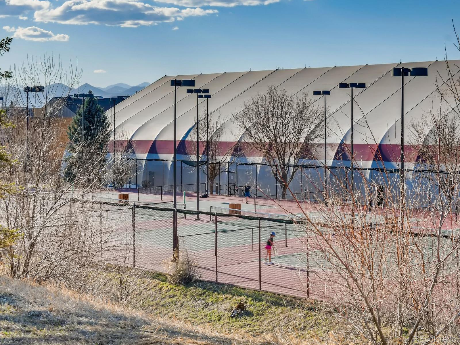 MLS Image #30 for 3818  mallard drive,highlands ranch, Colorado