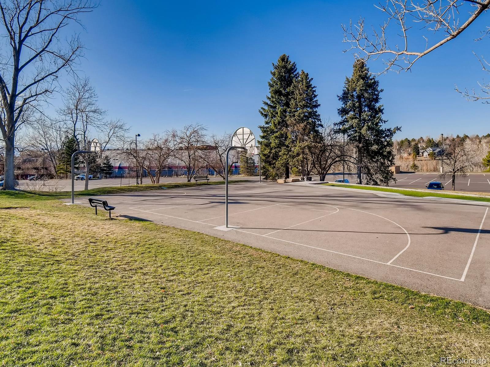 MLS Image #39 for 3818  mallard drive,highlands ranch, Colorado