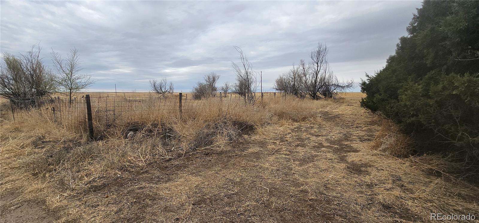 MLS Image #18 for 31506  county road 22 ,vona, Colorado