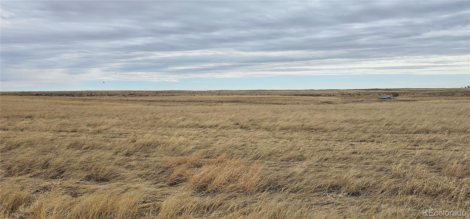 MLS Image #5 for 31506  county road 22 ,vona, Colorado