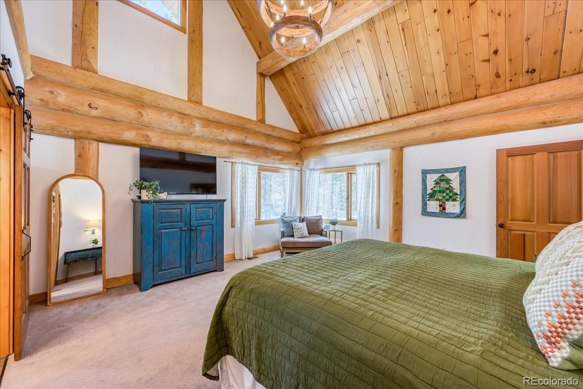 MLS Image #10 for 514  blue flag circle,breckenridge, Colorado