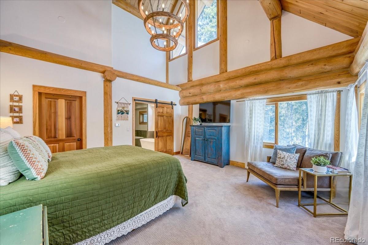 MLS Image #12 for 514  blue flag circle,breckenridge, Colorado