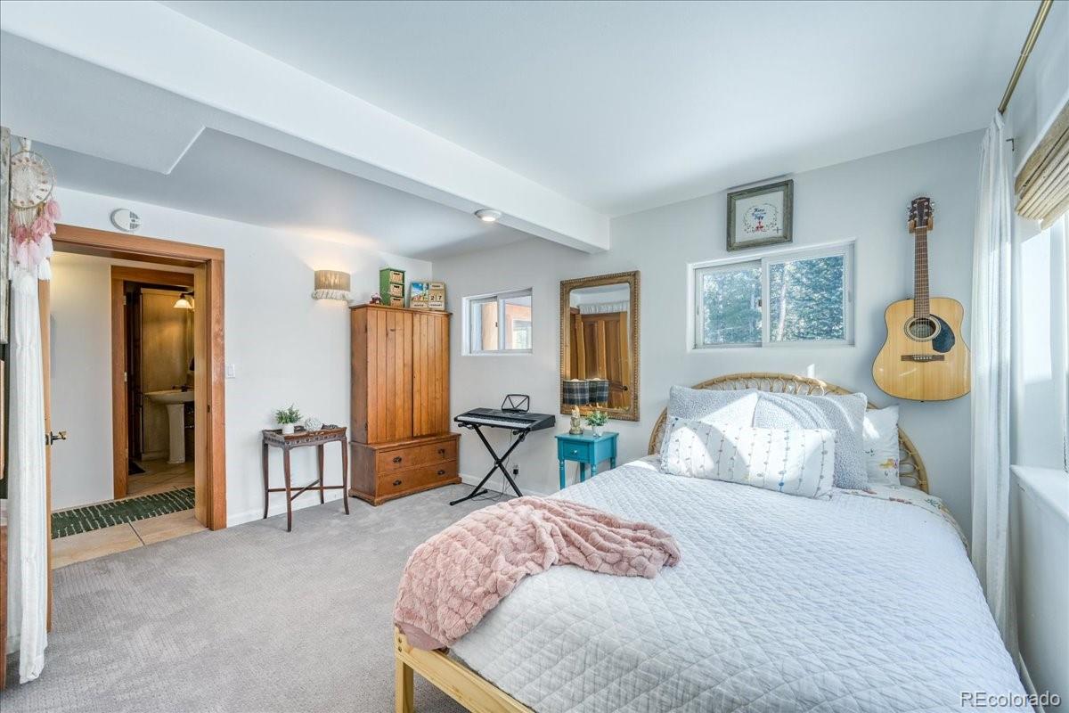 MLS Image #17 for 514  blue flag circle,breckenridge, Colorado