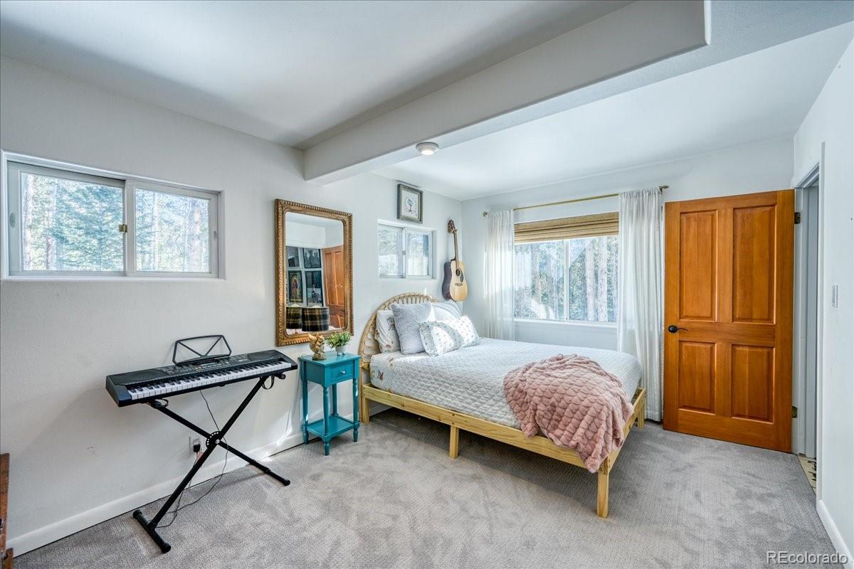 MLS Image #18 for 514  blue flag circle,breckenridge, Colorado