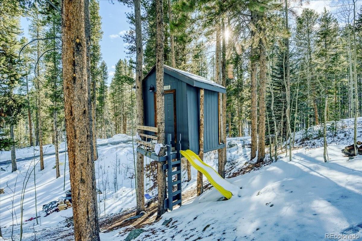 MLS Image #37 for 514  blue flag circle,breckenridge, Colorado