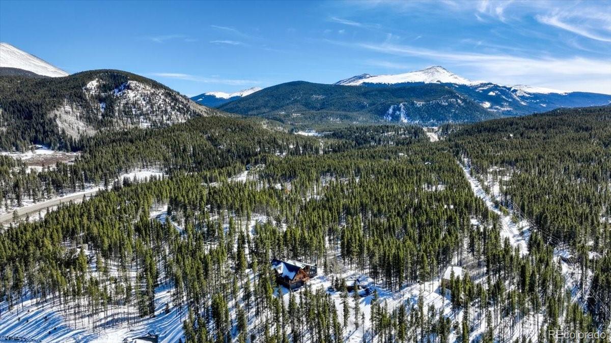 MLS Image #42 for 514  blue flag circle,breckenridge, Colorado