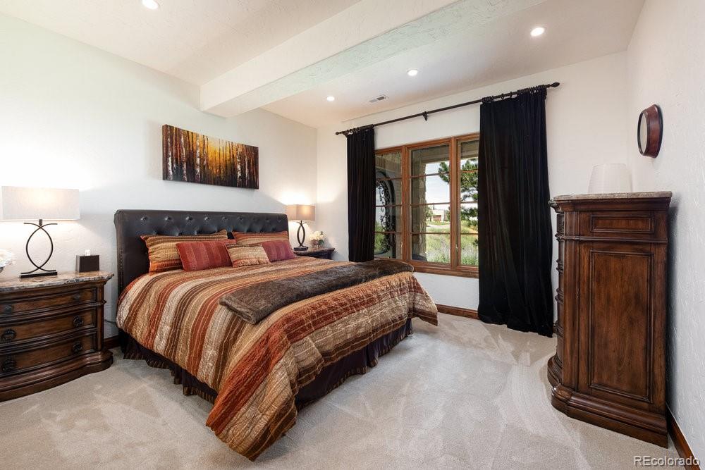 MLS Image #35 for 11415  birolli place,littleton, Colorado