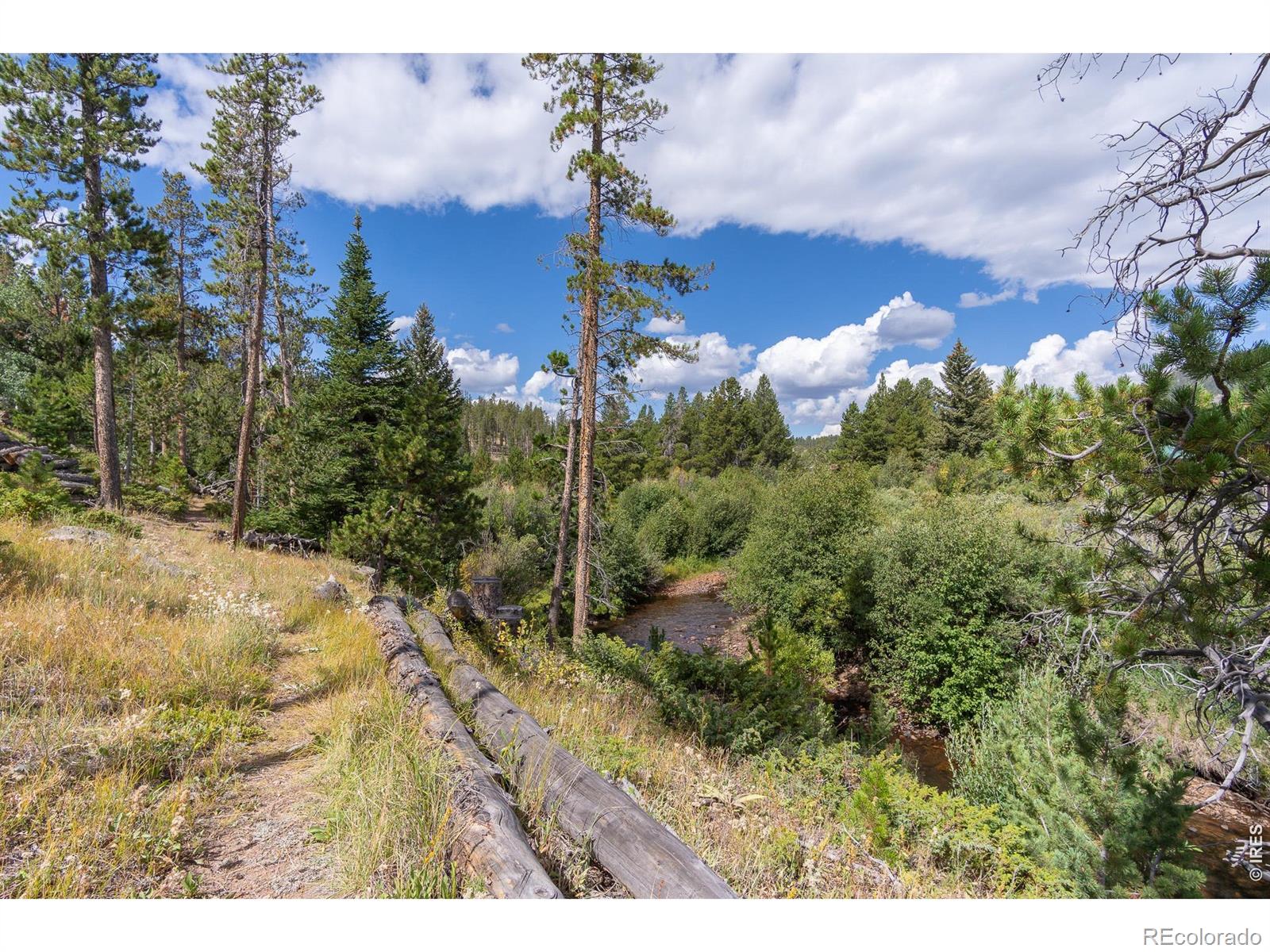 MLS Image #13 for 534  blackfoot road,red feather lakes, Colorado