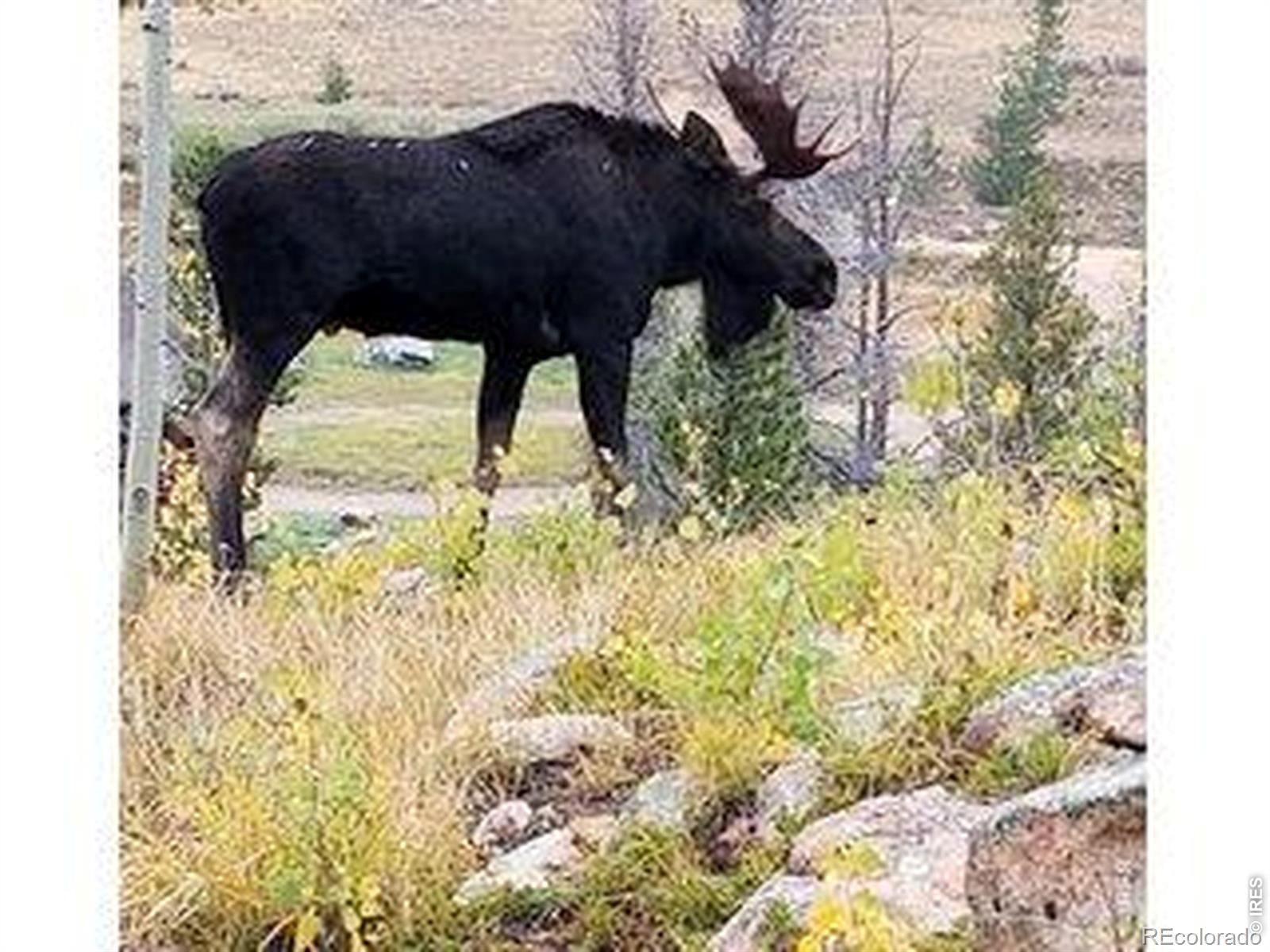 MLS Image #45 for 534  blackfoot road,red feather lakes, Colorado