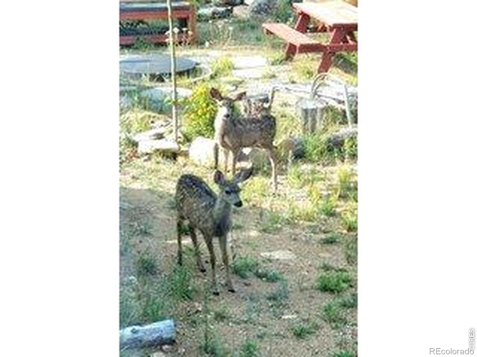 MLS Image #47 for 534  blackfoot road,red feather lakes, Colorado