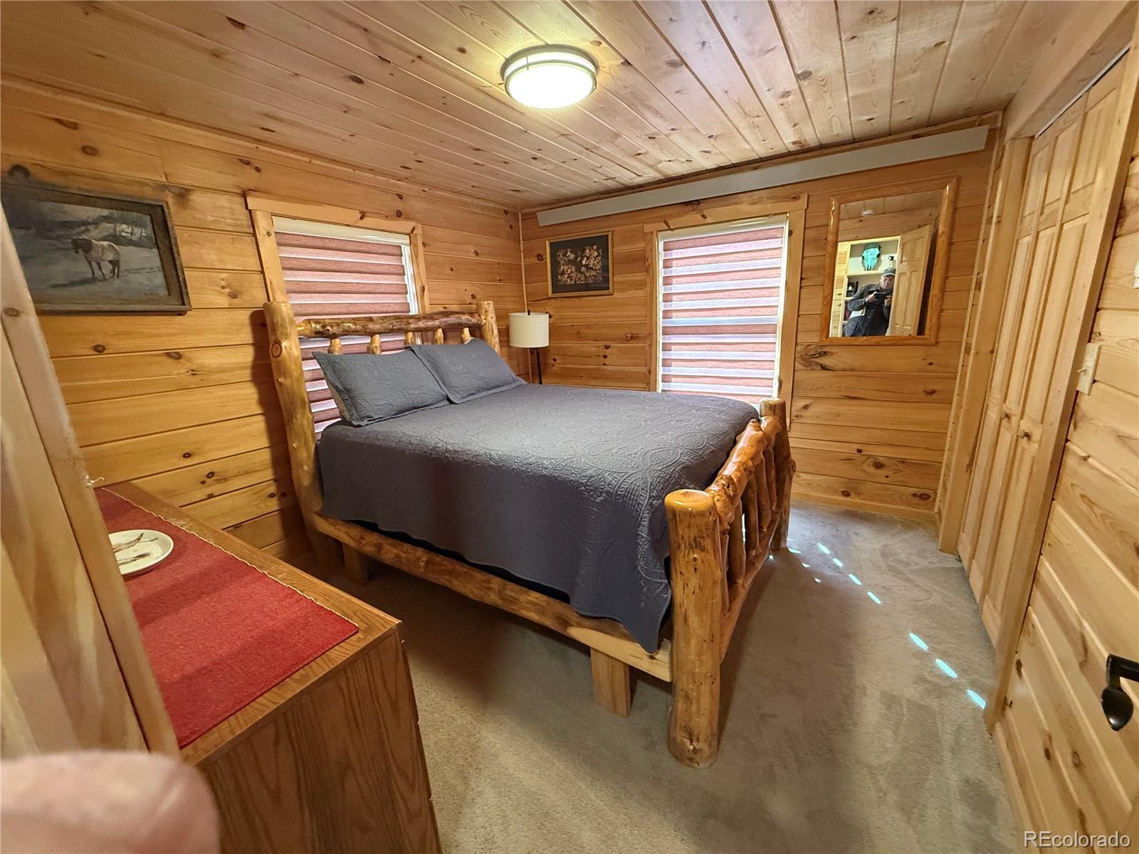 MLS Image #12 for 1025  walker place,fort garland, Colorado