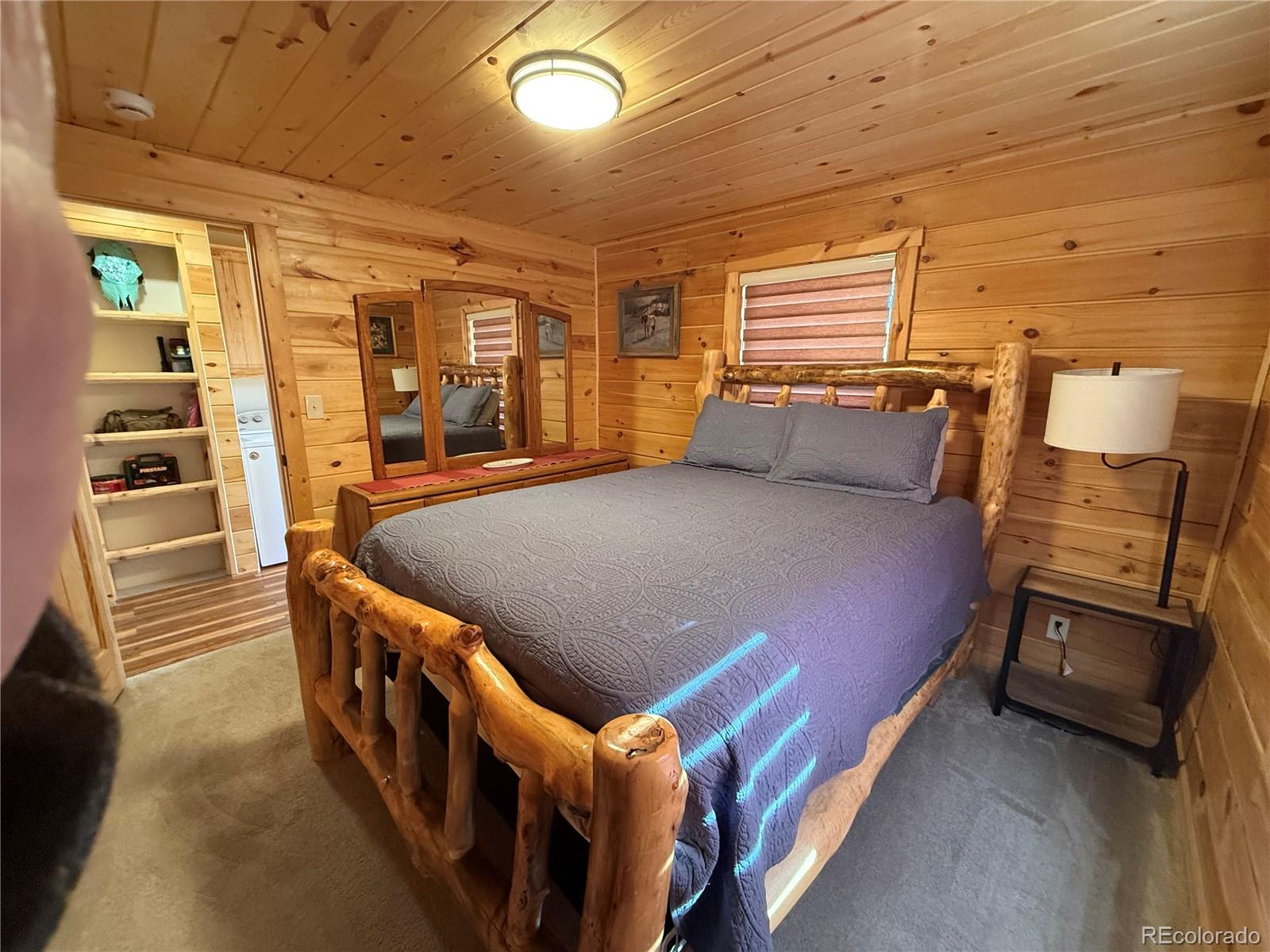 MLS Image #13 for 1025  walker place,fort garland, Colorado