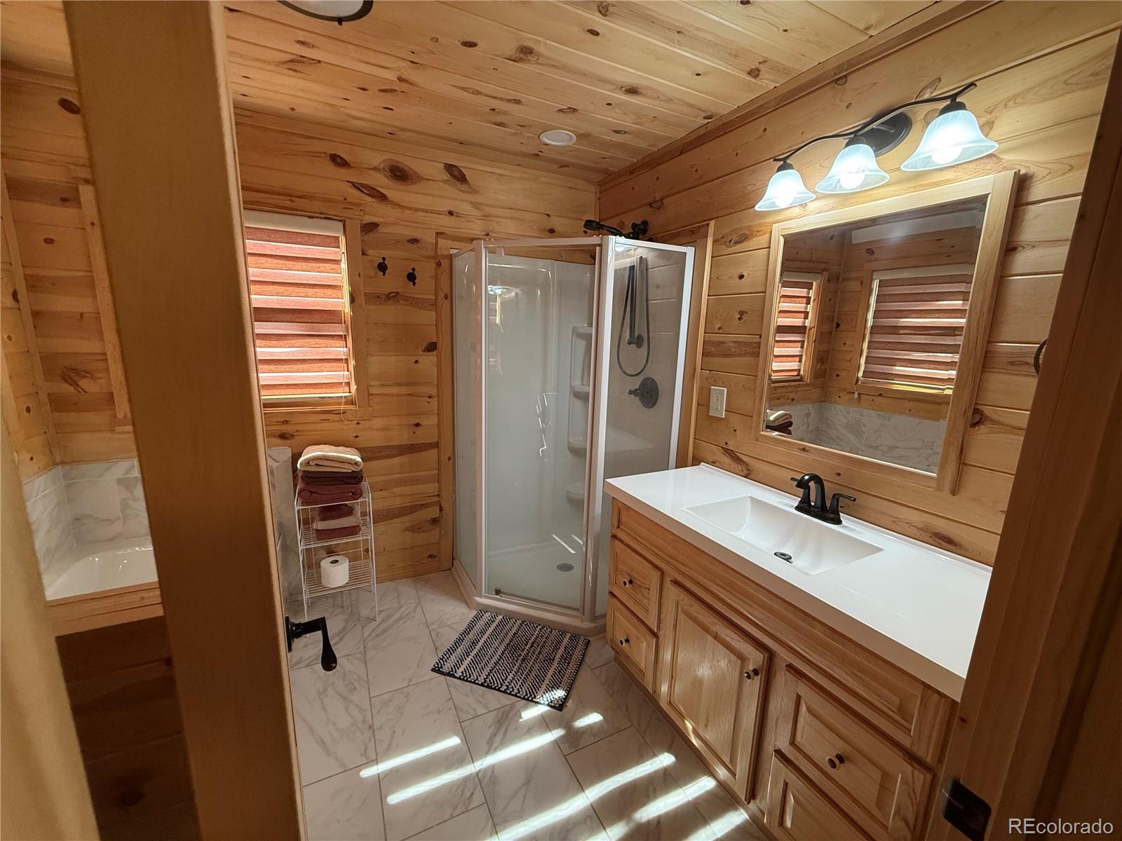 MLS Image #27 for 1025  walker place,fort garland, Colorado
