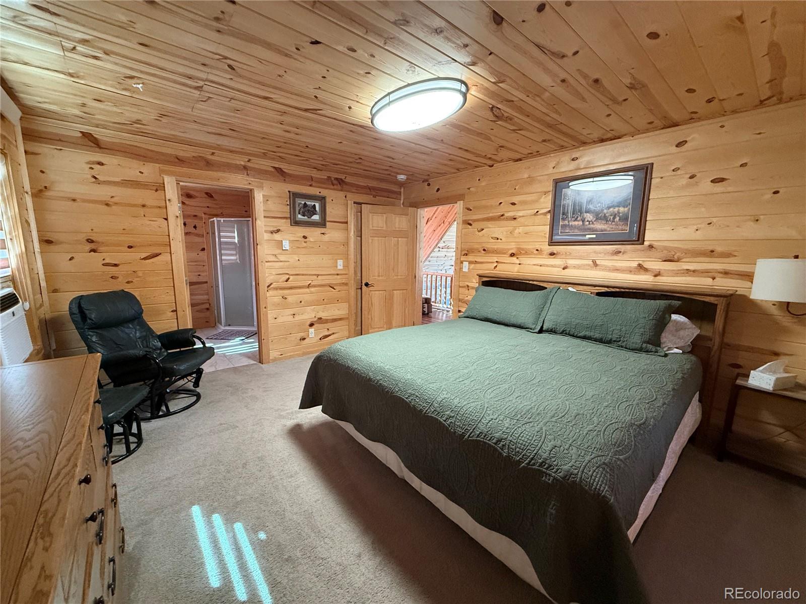 MLS Image #29 for 1025  walker place,fort garland, Colorado