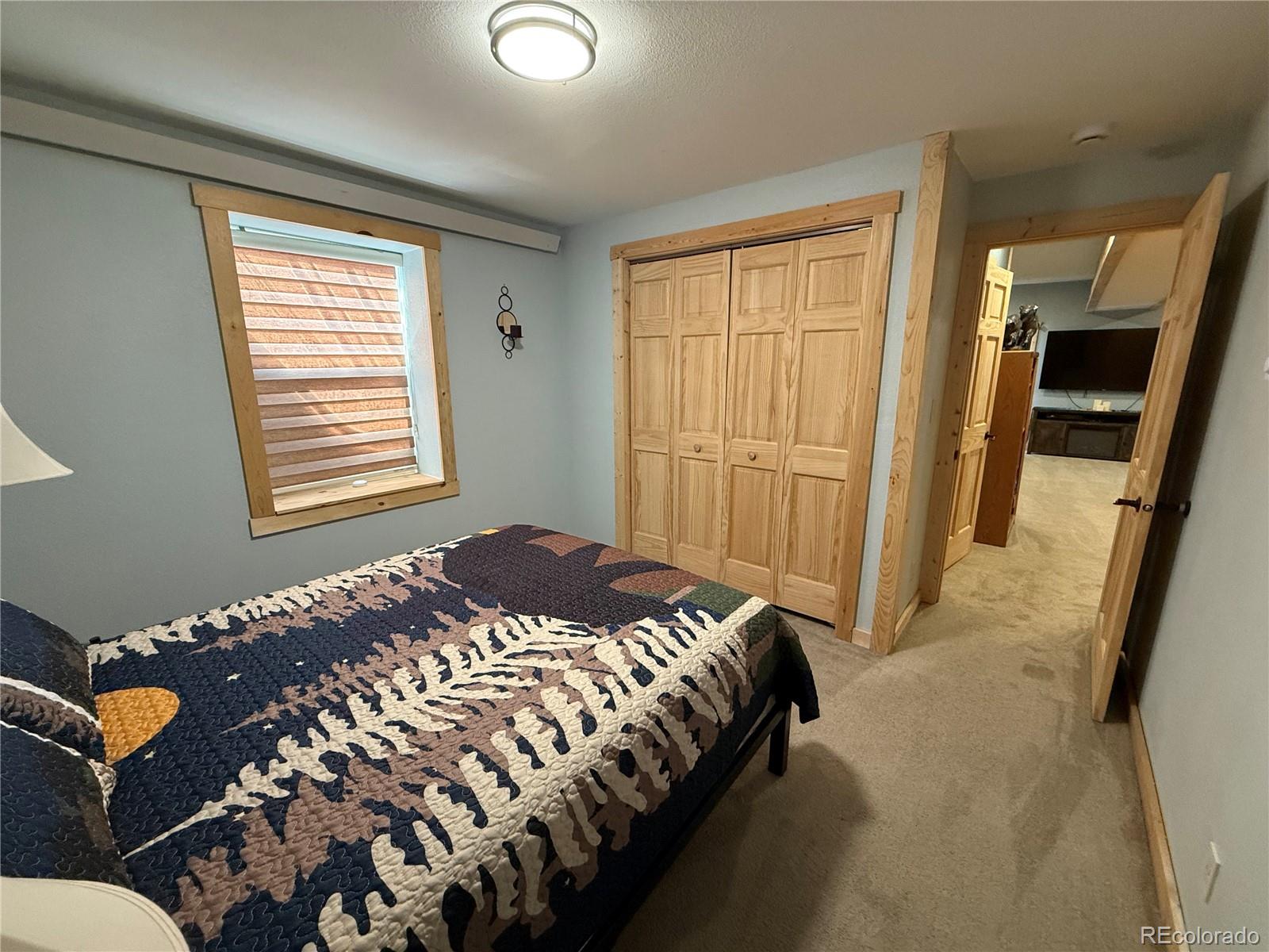 MLS Image #32 for 1025  walker place,fort garland, Colorado