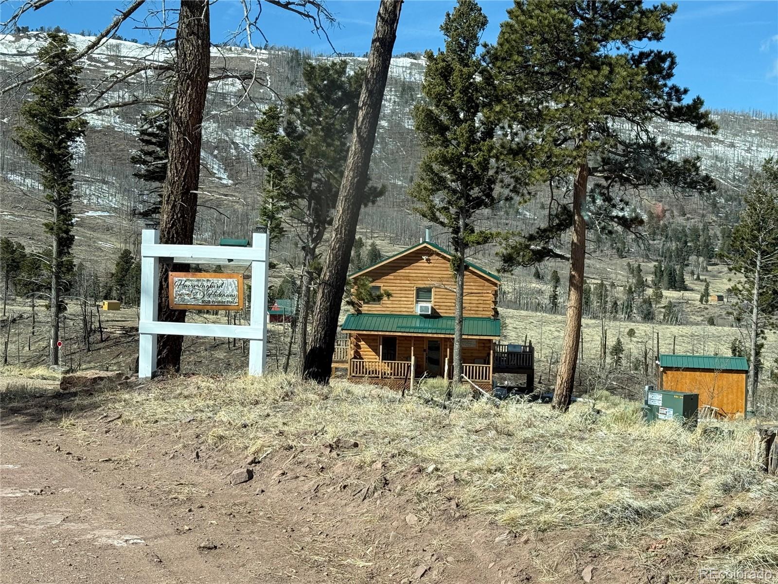 MLS Image #4 for 1025  walker place,fort garland, Colorado