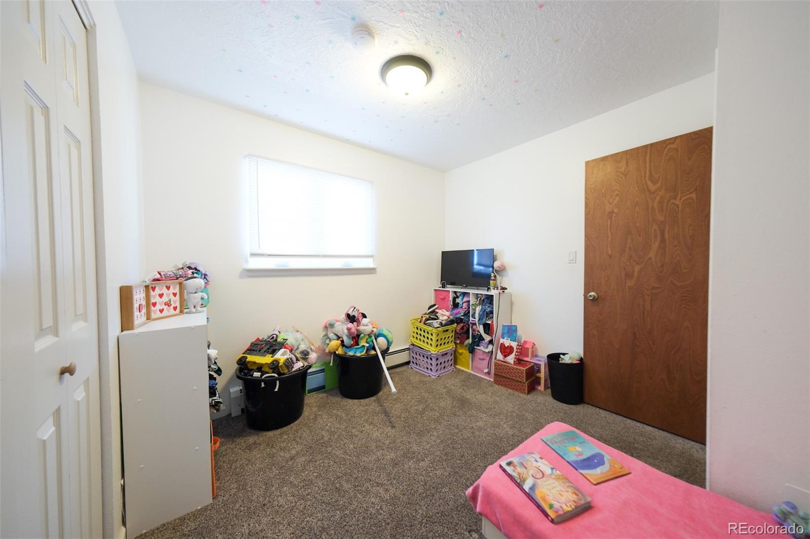 MLS Image #11 for 207  bonney drive,alamosa, Colorado