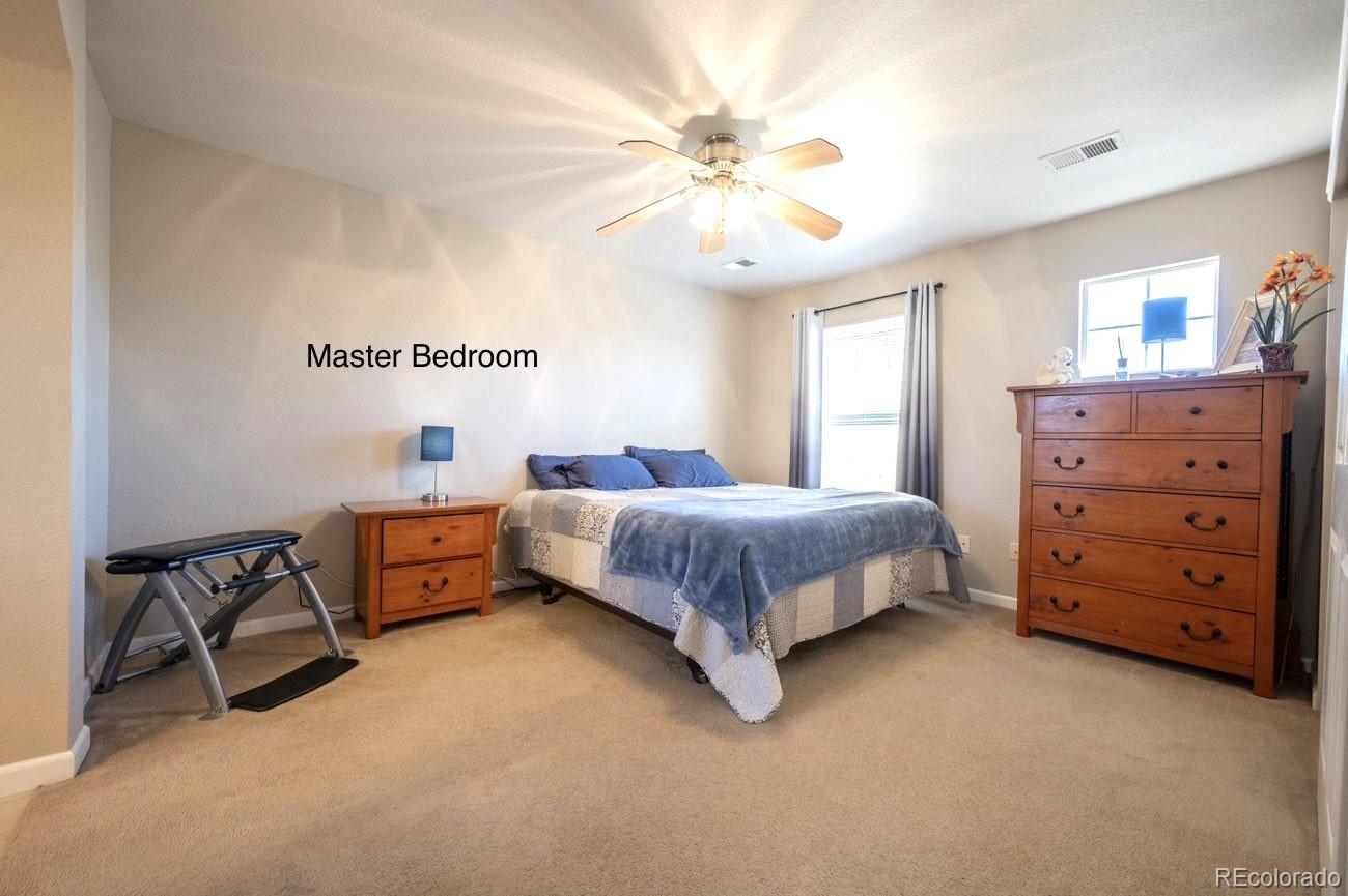 MLS Image #6 for 3766  ute mountain trail,castle rock, Colorado