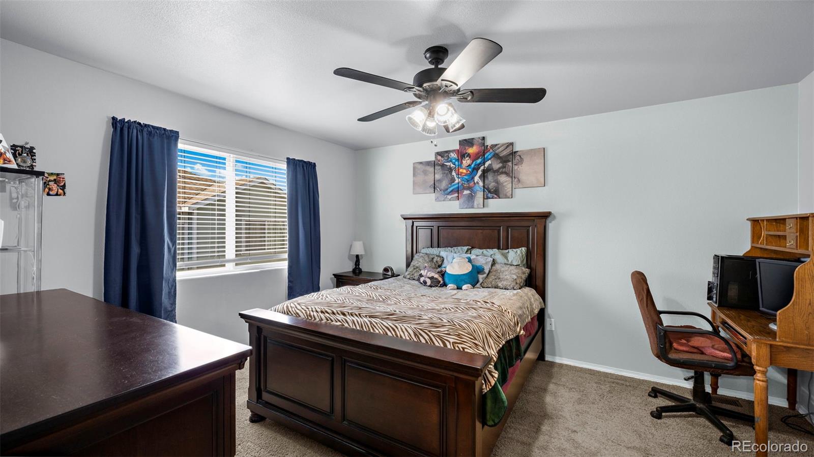 MLS Image #16 for 5363  canadian rose view,colorado springs, Colorado