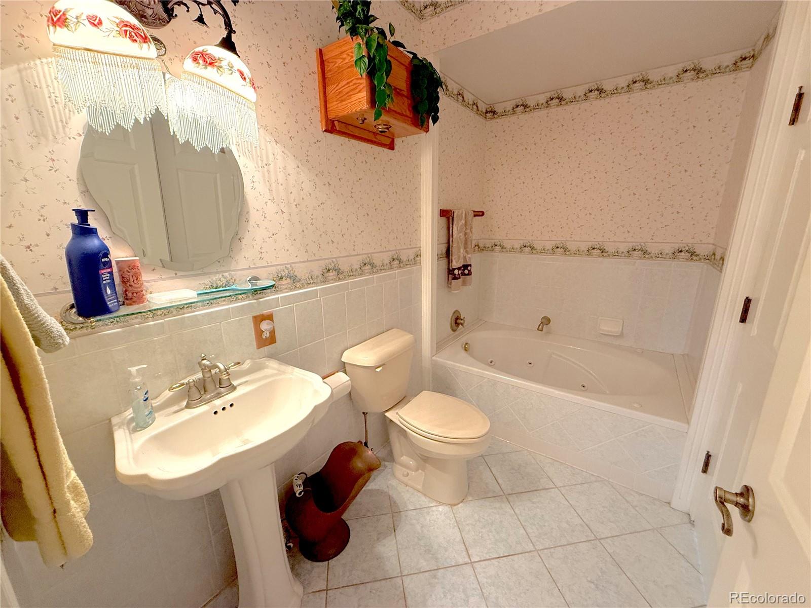 MLS Image #15 for 242 e blarney stone road,howard, Colorado
