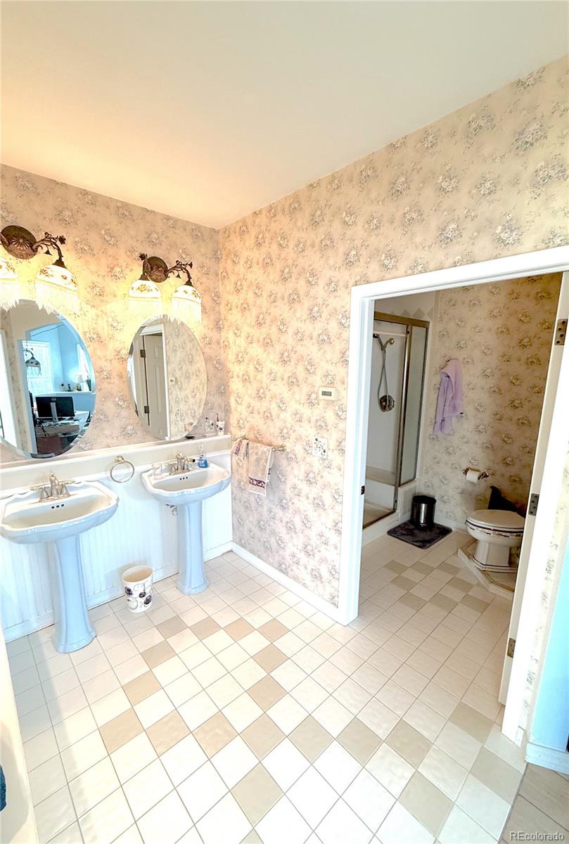 MLS Image #17 for 242 e blarney stone road,howard, Colorado