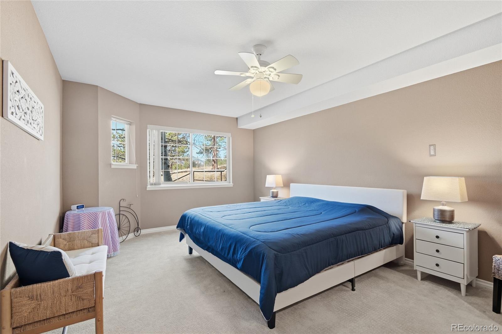 MLS Image #15 for 31819  rocky village drive,evergreen, Colorado