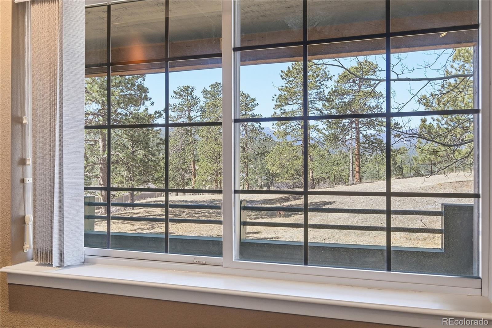 MLS Image #18 for 31819  rocky village drive,evergreen, Colorado