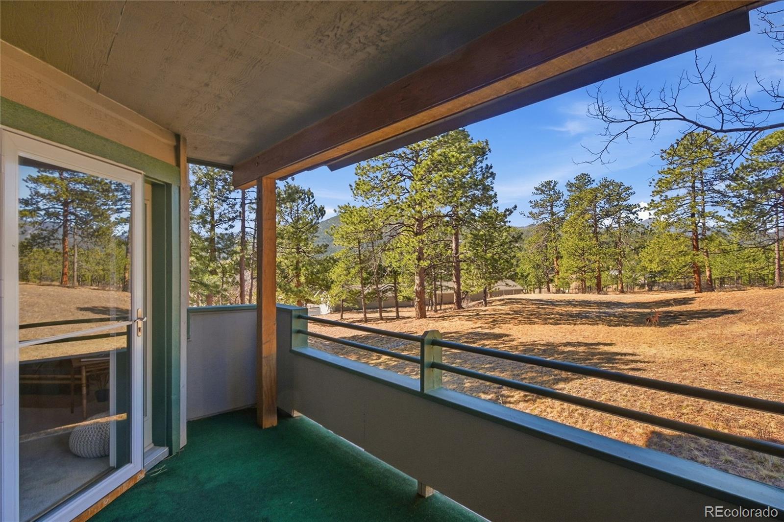 MLS Image #20 for 31819  rocky village drive,evergreen, Colorado