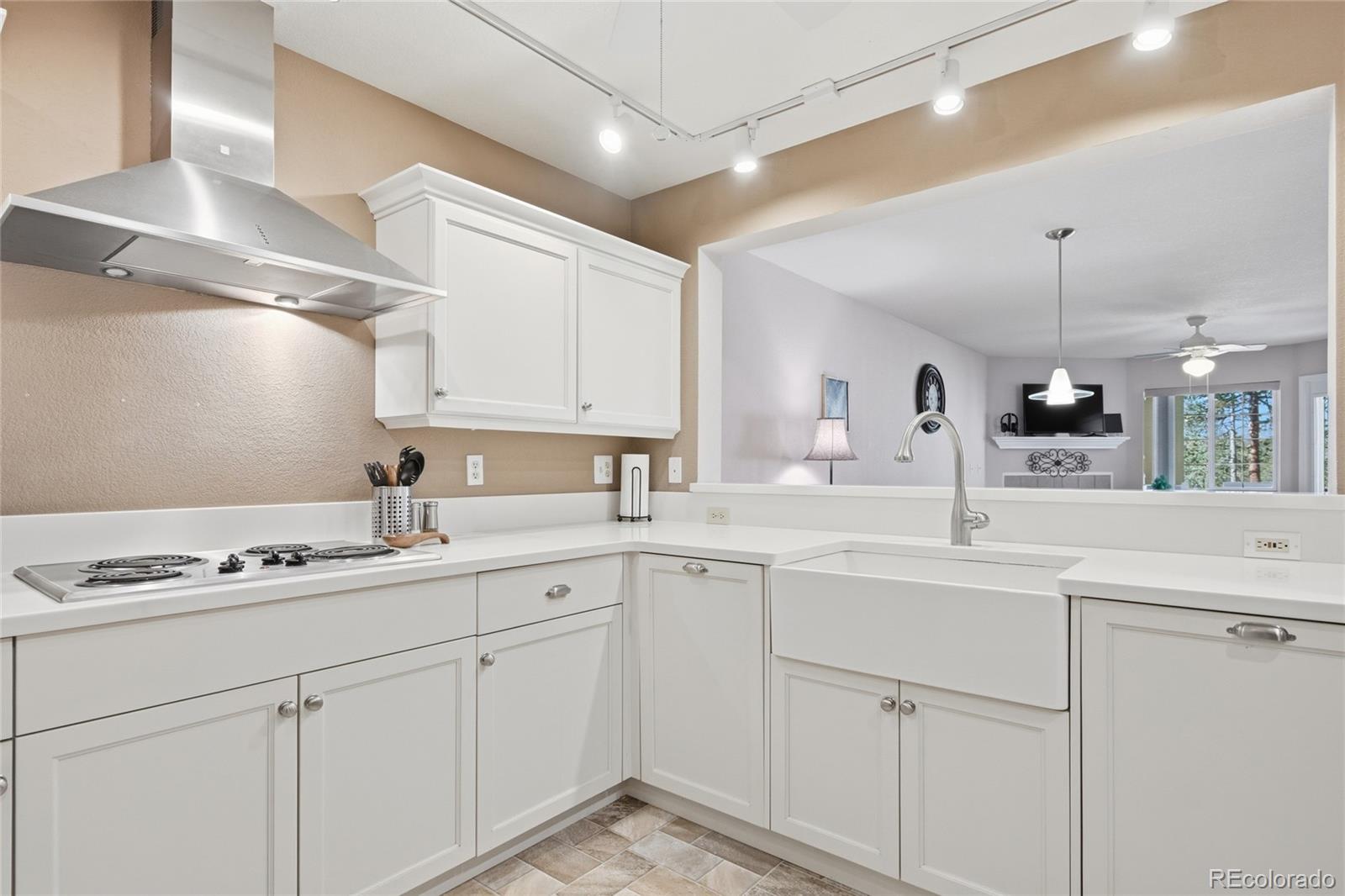 MLS Image #4 for 31819  rocky village drive,evergreen, Colorado