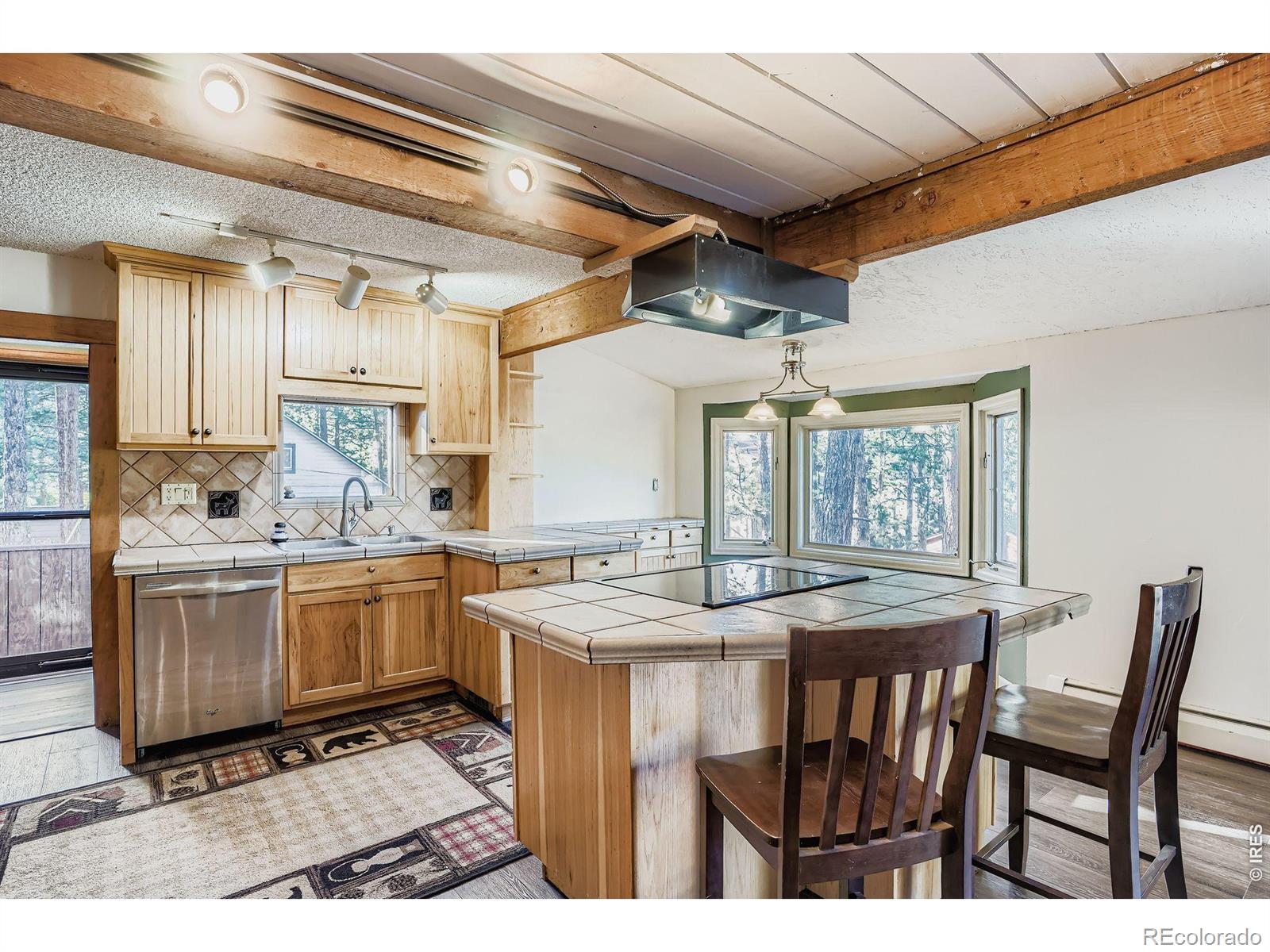 MLS Image #18 for 30172  hilltop drive,evergreen, Colorado