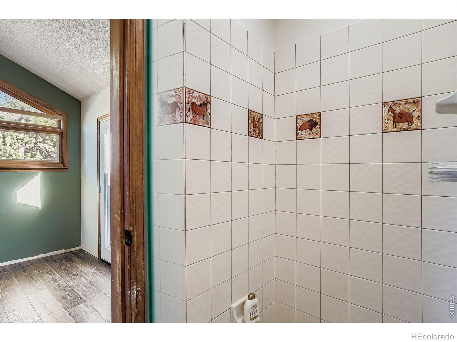 MLS Image #4 for 30172  hilltop drive,evergreen, Colorado