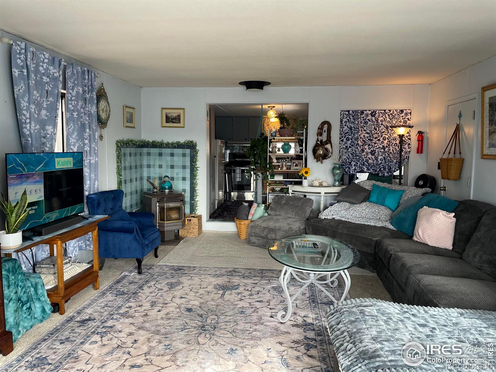 MLS Image #14 for 123  tahlequah way,red feather lakes, Colorado