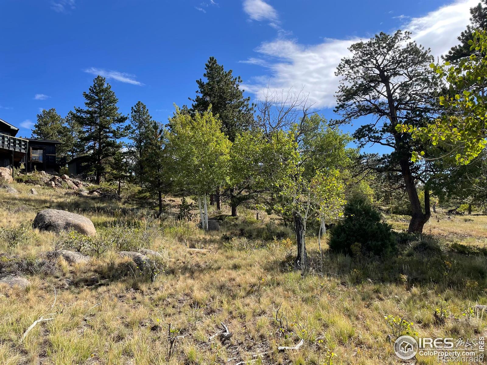 MLS Image #25 for 123  tahlequah way,red feather lakes, Colorado