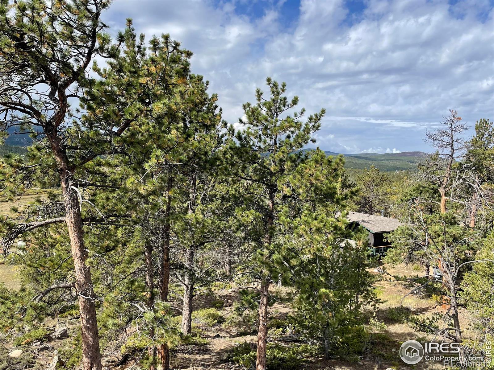 MLS Image #26 for 123  tahlequah way,red feather lakes, Colorado