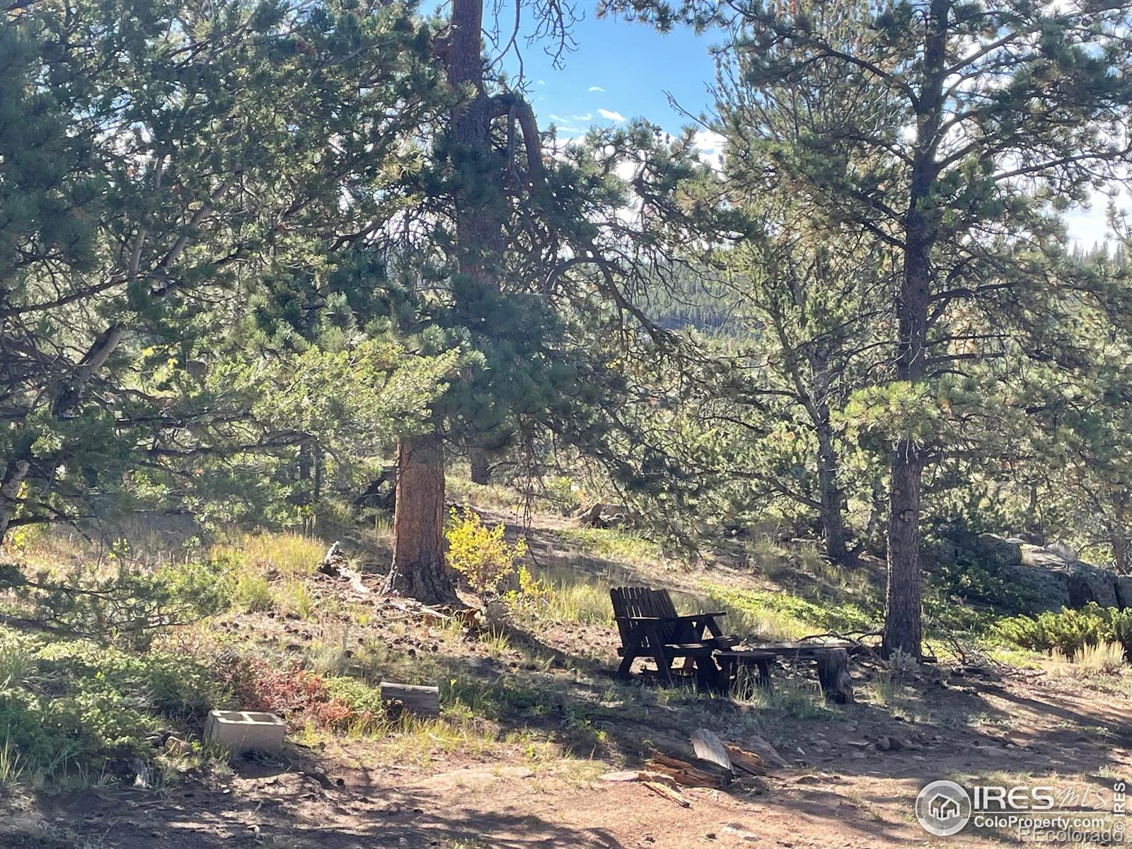 MLS Image #27 for 123  tahlequah way,red feather lakes, Colorado