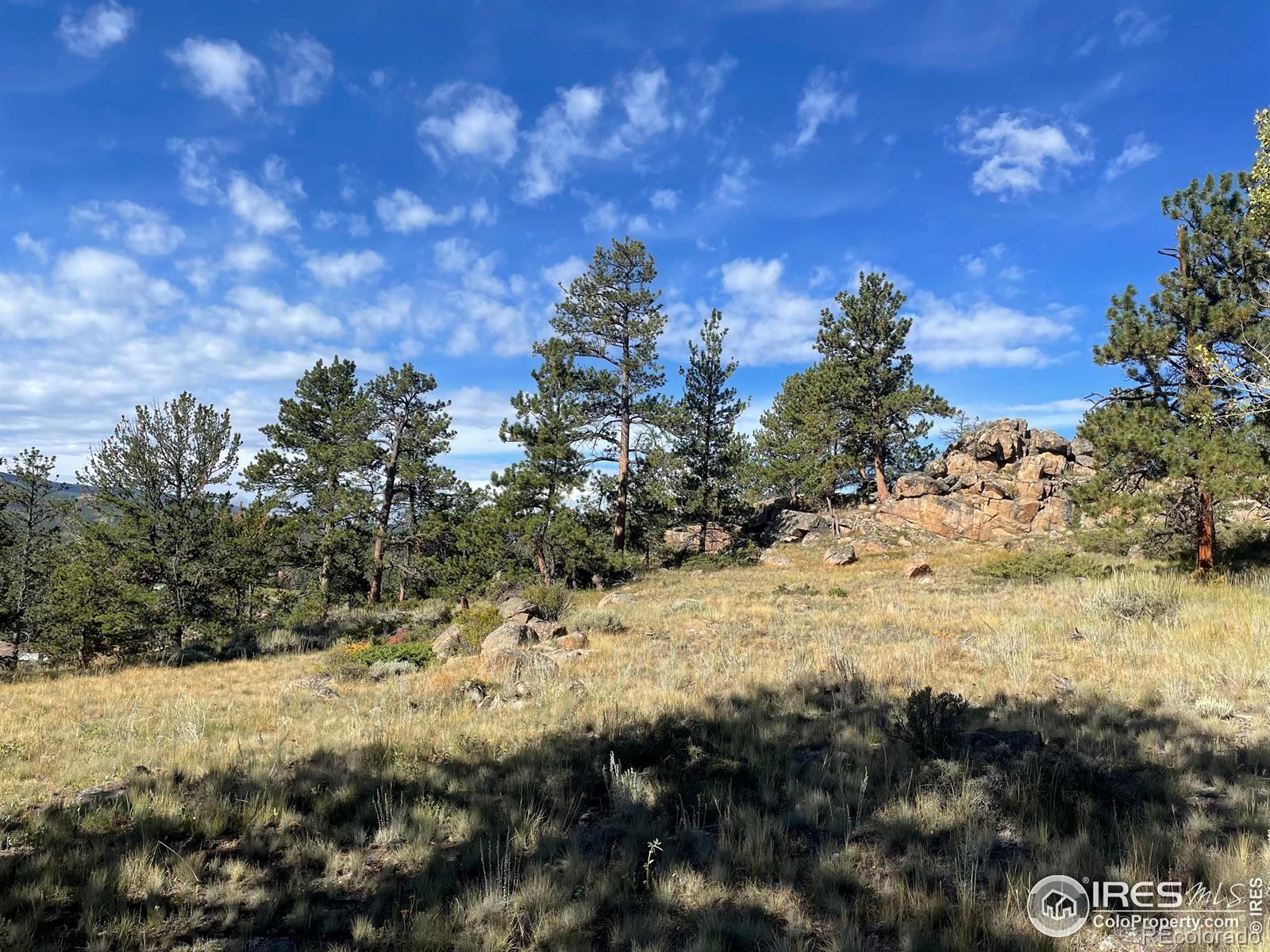 MLS Image #28 for 123  tahlequah way,red feather lakes, Colorado