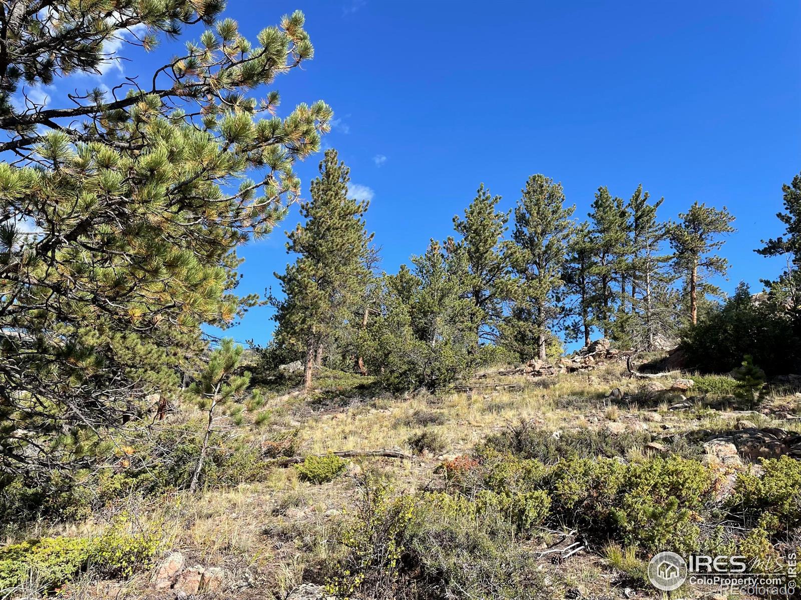 MLS Image #31 for 123  tahlequah way,red feather lakes, Colorado