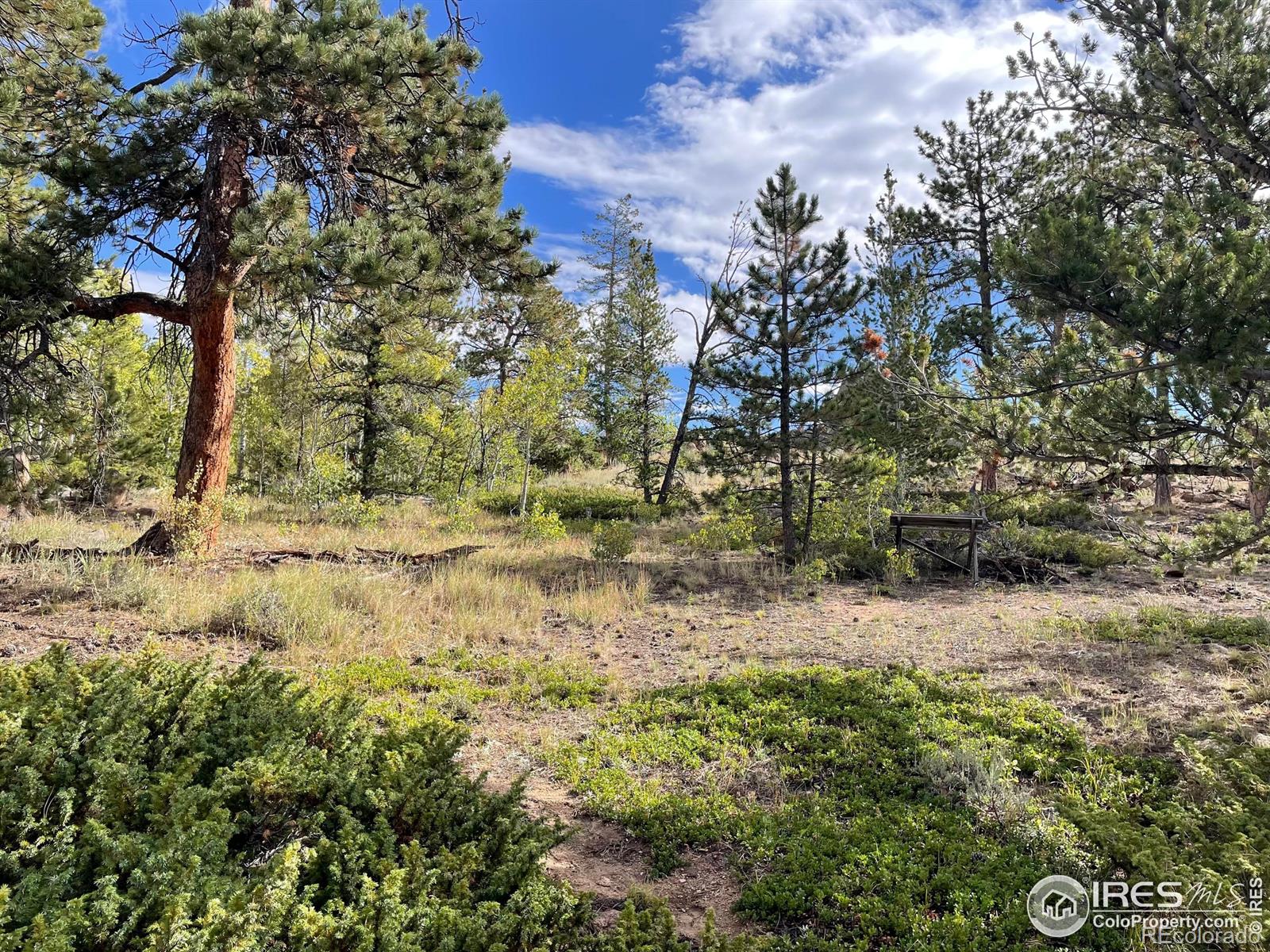 MLS Image #32 for 123  tahlequah way,red feather lakes, Colorado