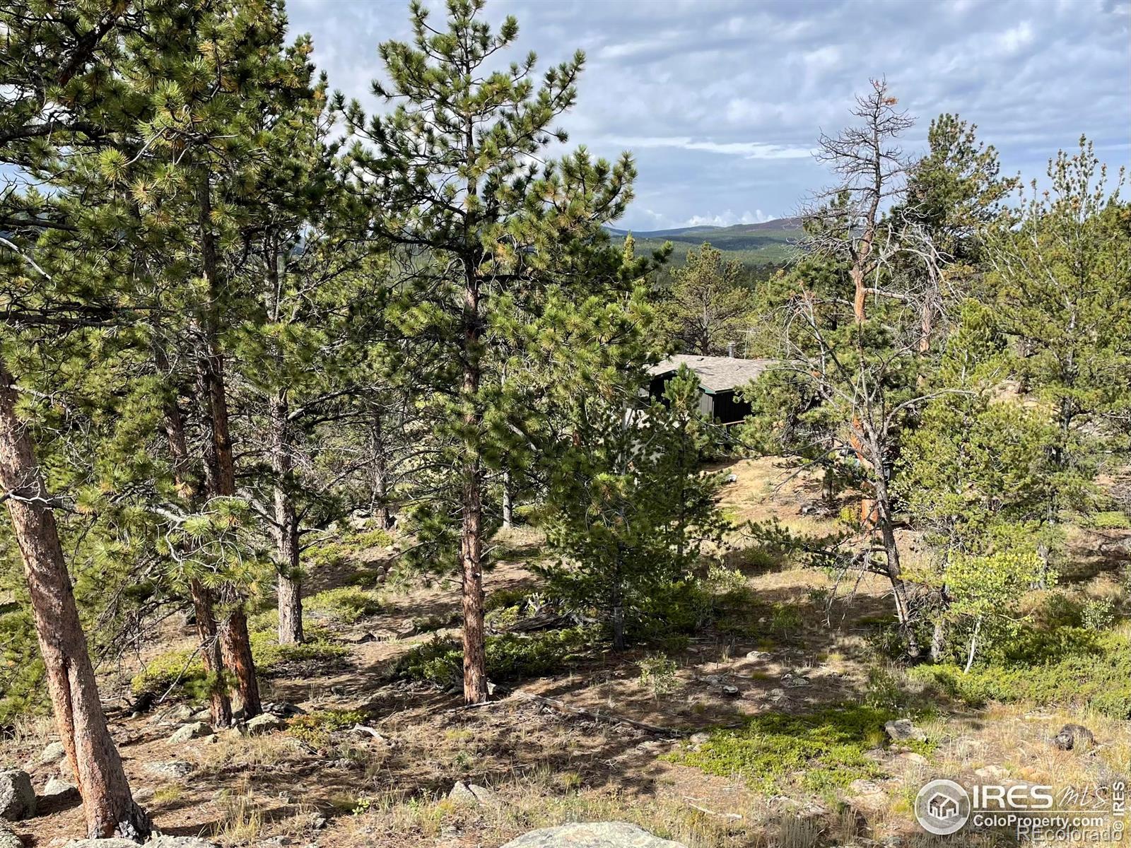 MLS Image #33 for 123  tahlequah way,red feather lakes, Colorado
