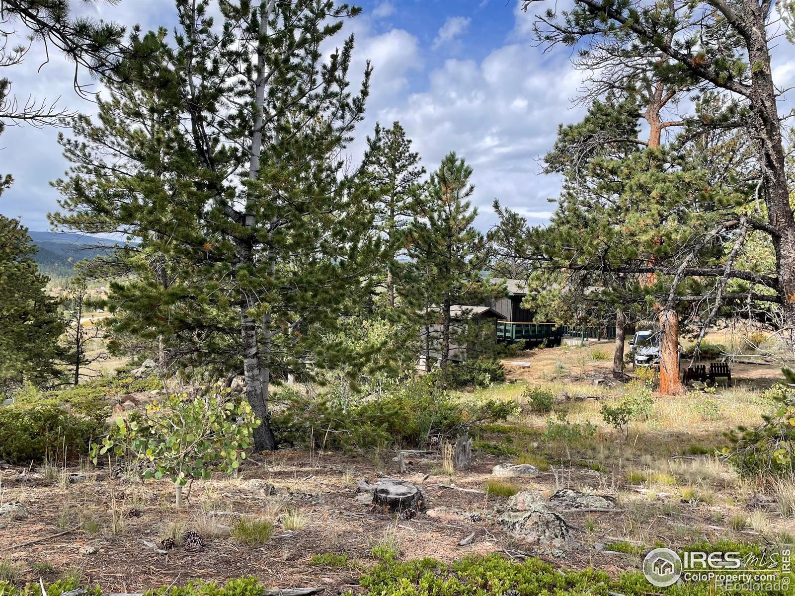 MLS Image #34 for 123  tahlequah way,red feather lakes, Colorado