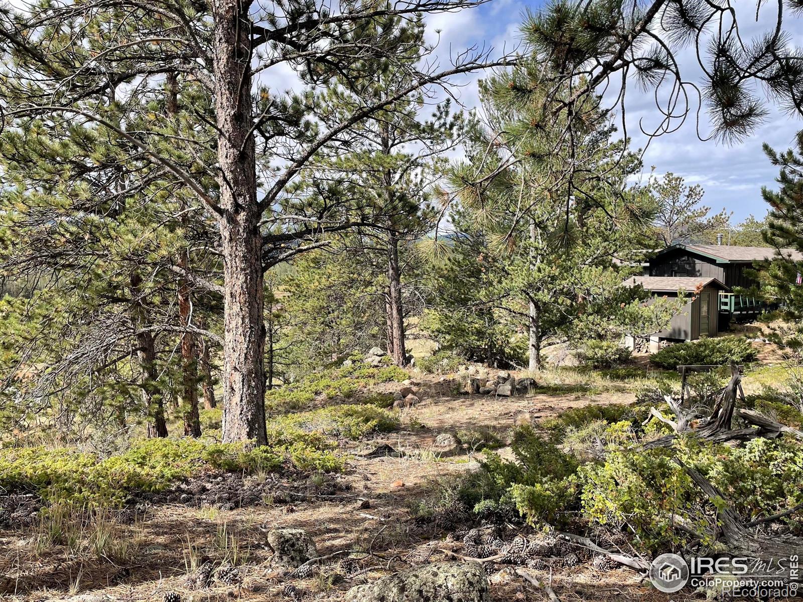 MLS Image #35 for 123  tahlequah way,red feather lakes, Colorado