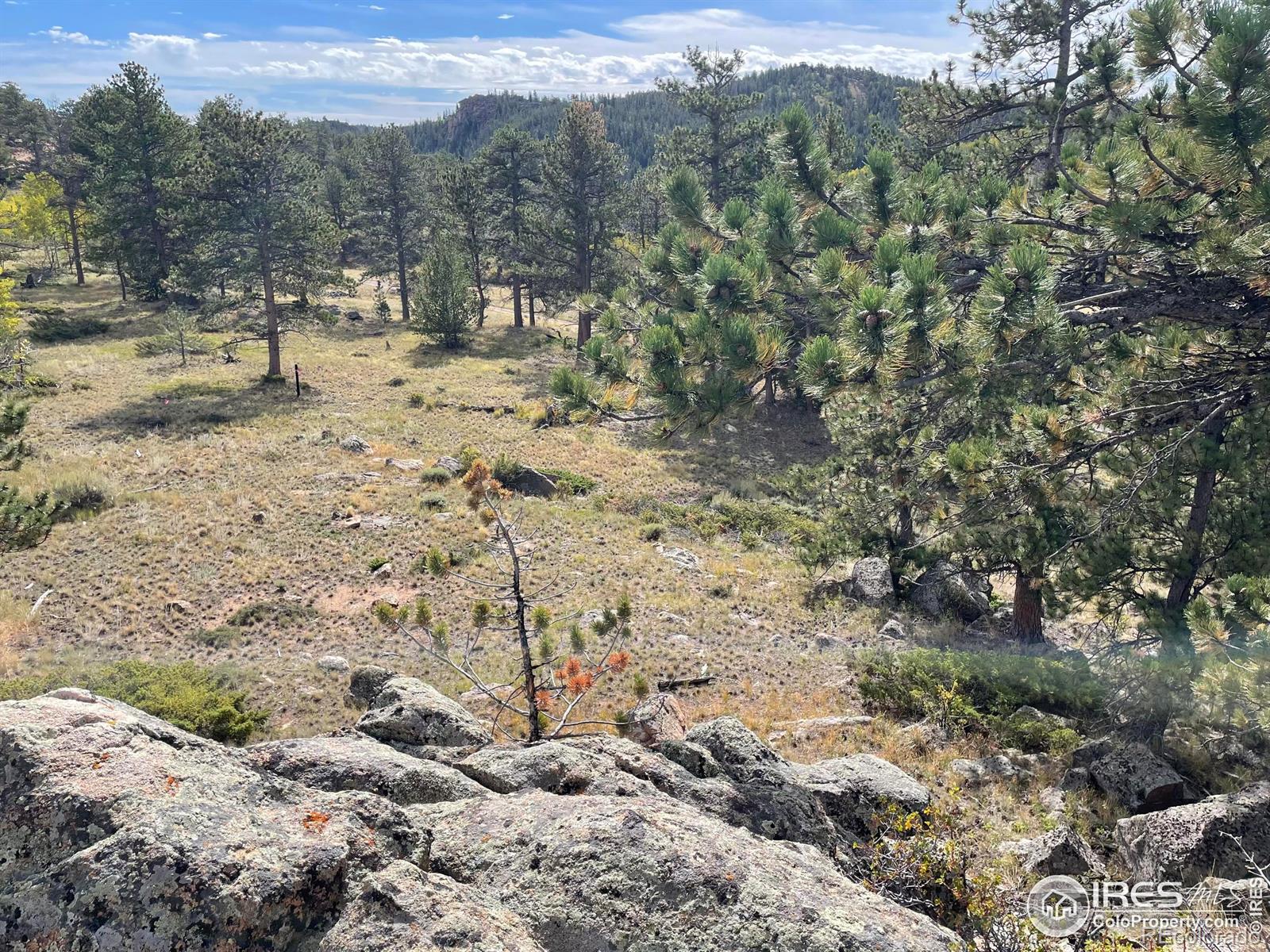 MLS Image #36 for 123  tahlequah way,red feather lakes, Colorado