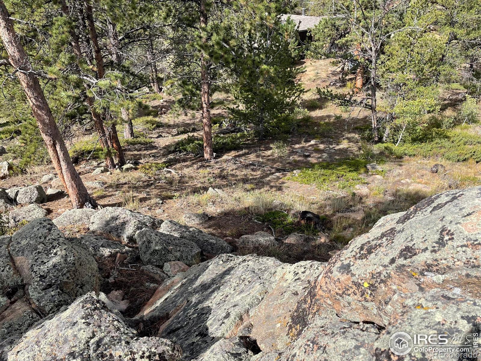 MLS Image #37 for 123  tahlequah way,red feather lakes, Colorado